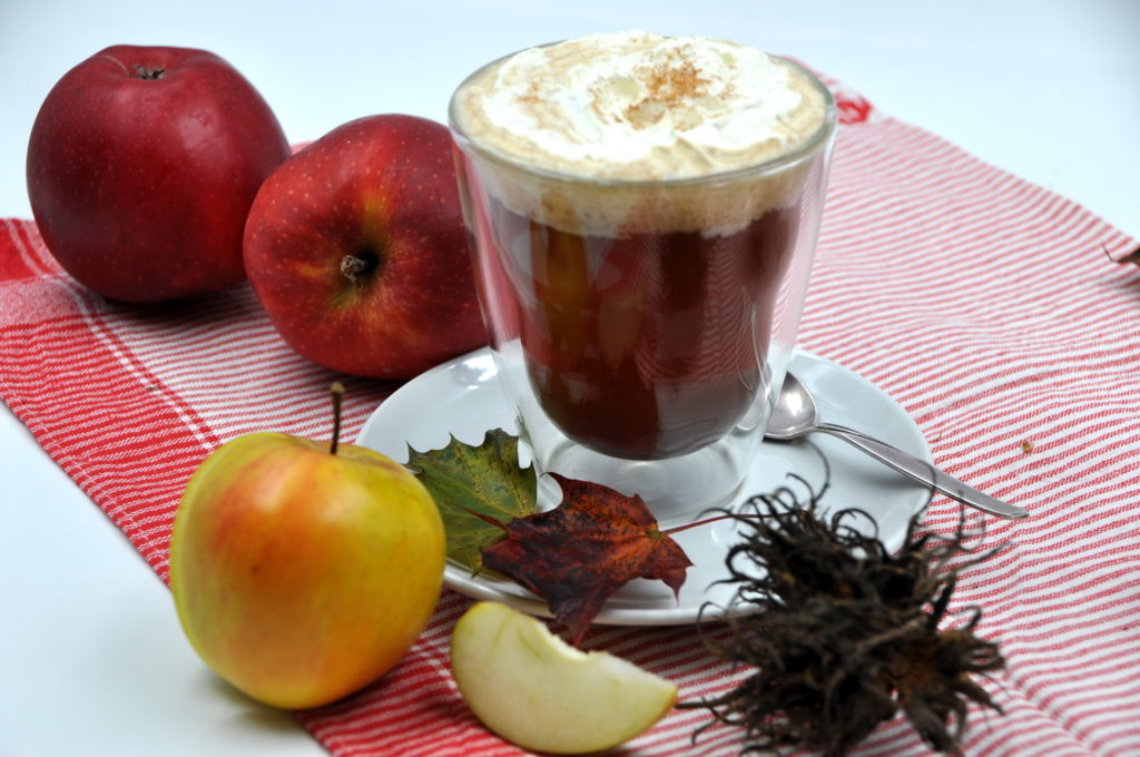 Apple Spice - heißer Apfelpunsch, das perfekte Herbstgetränk - elbeMÄDCHEN